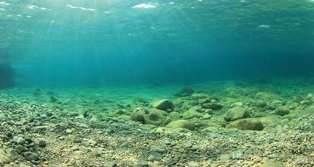 海洋沉積物檢測(cè)