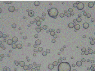 粒度檢測(cè)標(biāo)準(zhǔn)哪里的檢測(cè)機(jī)構(gòu)可以做？